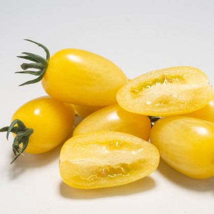 Rajče Dattolime F1 - Solanum lycopersicum - prodej semen - 6 ks