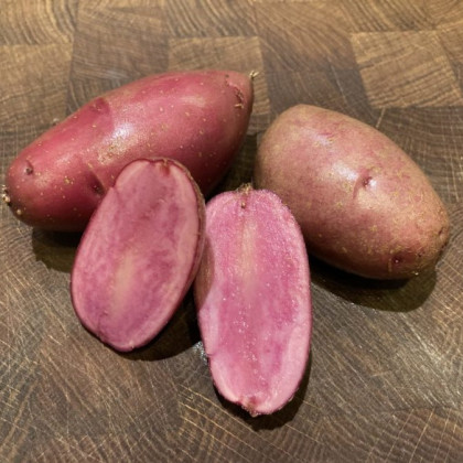 Sadbové brambory Heiderot - Solanum tuberosum - prodej sadby - 5 ks