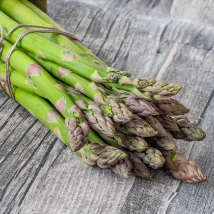 Chřest Gijnlim - Asparagus officinalis - prodej prostokořenných sazenic - 1 ks