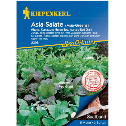 Semena asijských salátů - prodej výsevních pásků - 5 m