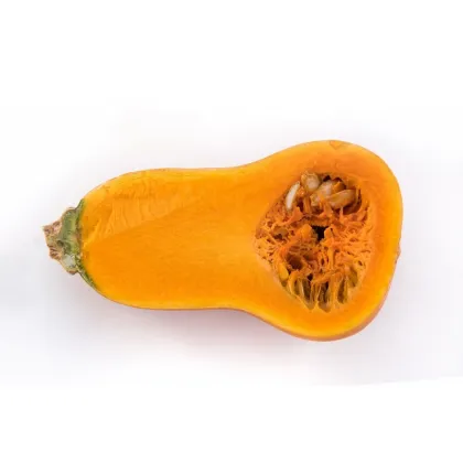 Dýně máslová Honeynut - Cucurbita moschata - prodej semen - 6 ks