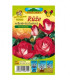 Růže velkokvětá keřová červenobílá - Rosa - prodej prostokořenných sazenic - 1 ks