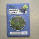 Modrá louka Zvonečková - Planta Naturalis - prodej semen - 10 g