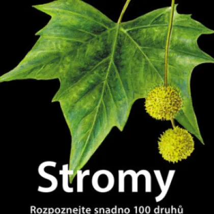 Stromy - Rozpoznejte snadno 100 druhů - Kazda - prodej knih - 1 ks