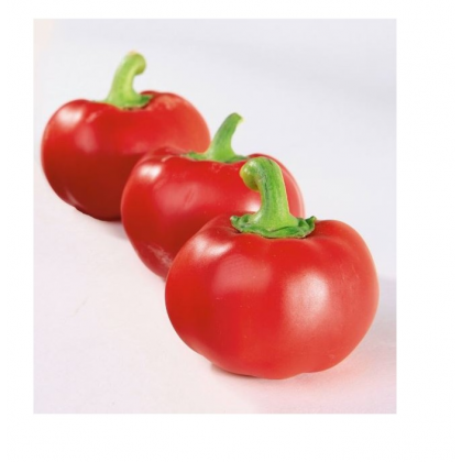 Paprika rajčatová Topgirl - Capsicum annuum - prodej semen - 7 ks