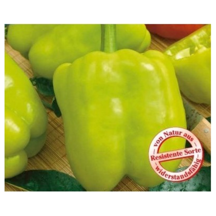 Semínka papriky - Capsicum annuum - Paprika Monte - prodej semen - 5 ks