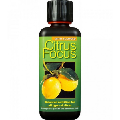 Citrus focus 100 ml