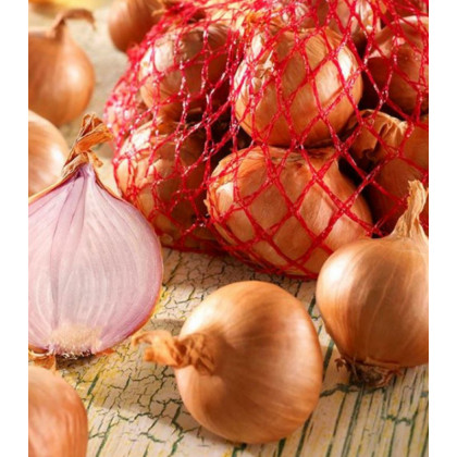 Cibule šalotka Red Sun - Allium Cepa - prodej cibulek - 500 g