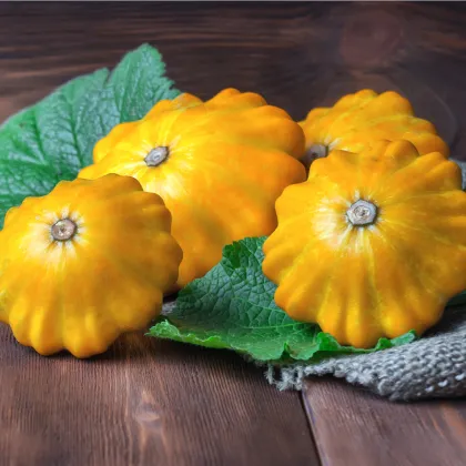 Patizon Golden Marbre - Cucurbita pepo - prodej semen - 5 ks