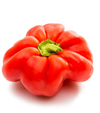 Paprika rajčatová Szuszanna - Capsicum annuum - prodej semen - 7 ks