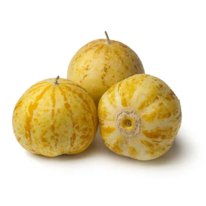 BIO Okurka Lemon - Cucumis sativus - prodej bio semen - 8 ks