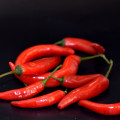 Chilli Kajenský pepř - Capsicum annuum - prodej semen - 8 ks