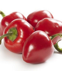 Chilli Large Red Cherry Hot - Capsicum annuum - prodej semen - 7 ks