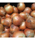 Cibule sazečka Sturon - Allium cepa - prodej cibulek - 100 g