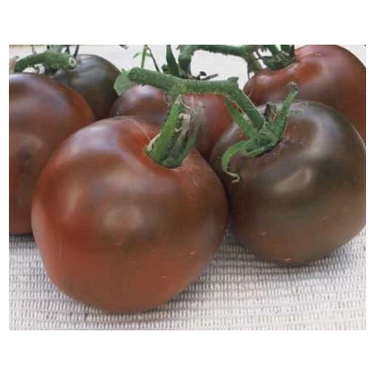 Rajče černé - prodej semínek rajčat - 6 ks