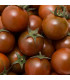 BIO Rajče černé Cherry - Solanum lycopersicum - prodej bio semen - 6 ks