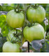 BIO Rajče White Beauty - Solanum lycopersicum - prodej bio semen - 7 ks