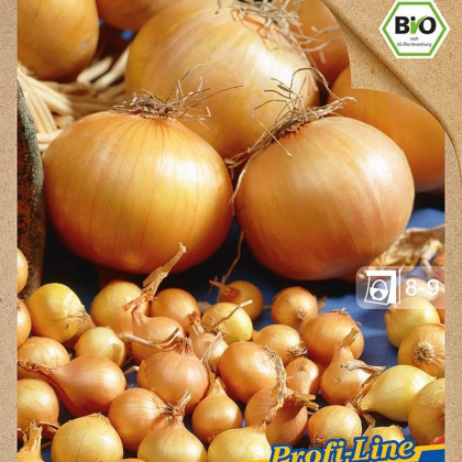 BIO Cibule sazečka Contado F1 - Allium cepa - prodej bio cibulek - 50 ks