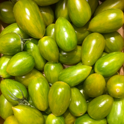 BIO Rajče Green Tiger - Solanum lycopersicum - prodej bio semen - 7 ks