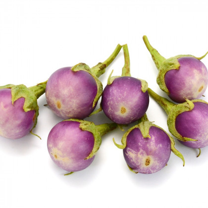 BIO Lilek Rosa Bianca - Solanum melongena - prodej bio semen - 8 ks