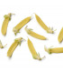BIO Hrách cukrový Golden Sweet - Pisum sativum - prodej bio semen - 35 ks