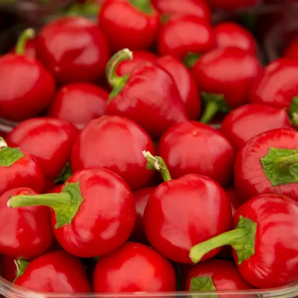 BIO Paprika Babybell červená - Capsicum annuum - prodej bio semen - 10 ks