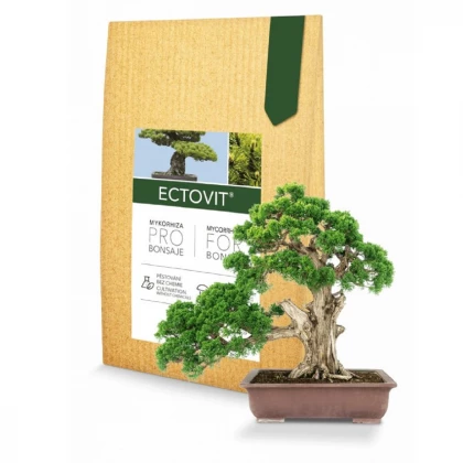 Mykorhiza pro bonsaje - Ectovit Bonsai - prodej hnojiv - 100 g