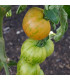 BIO Rajče Tigerella - Solanum lycopersicum - prodej bio semen - 6 ks