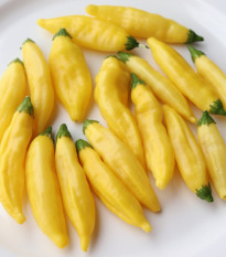 Chilli Lemon Drop - Capsicum baccatum - prodej semen - 7 ks