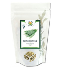 Přeslička rolní - Equisetum arvense - nať - 100 g