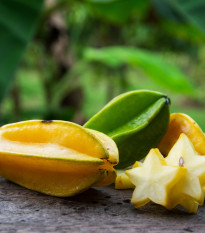 Karambola - Čínská hvězdice - Averrhoa carambola - prodej semen - 5 ks