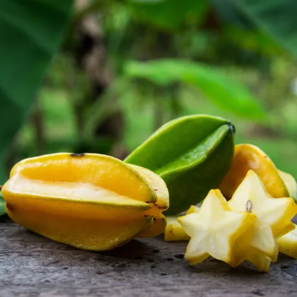 Karambola - Čínská hvězdice - Averrhoa carambola - prodej semen - 5 ks