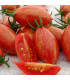 Rajče Artisan Pink Tiger - Solanum lycopersicum - prodej semen - 5 ks
